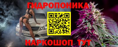 сатива Бийск