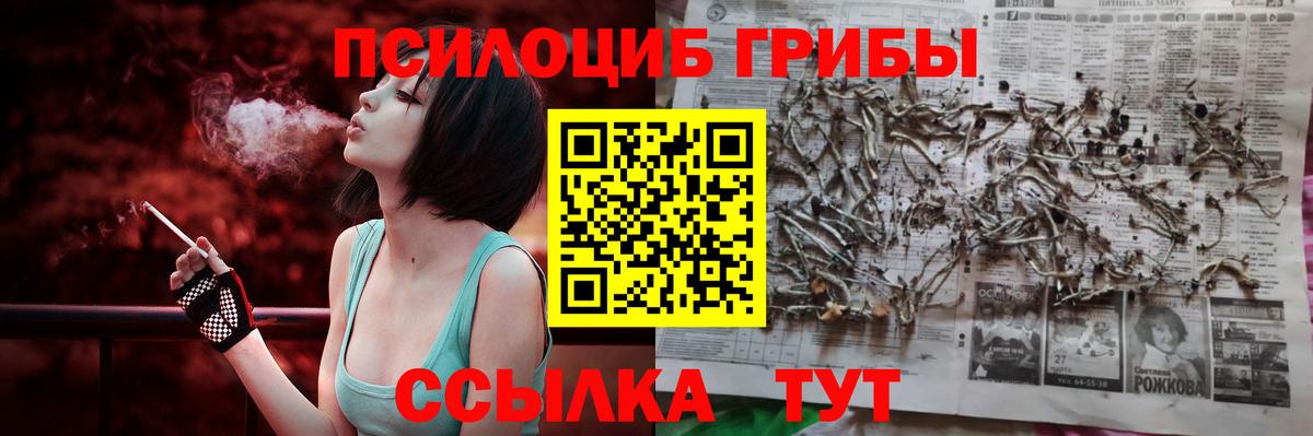 Калининград  Галлюциногенные грибы MAGIC MUSHROOMS  Вход с VPN 